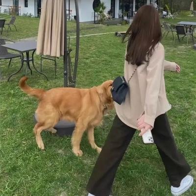 当哈维遇见鲍勃